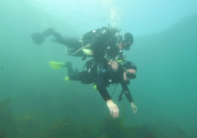 Plongee Belle Ile en Mer